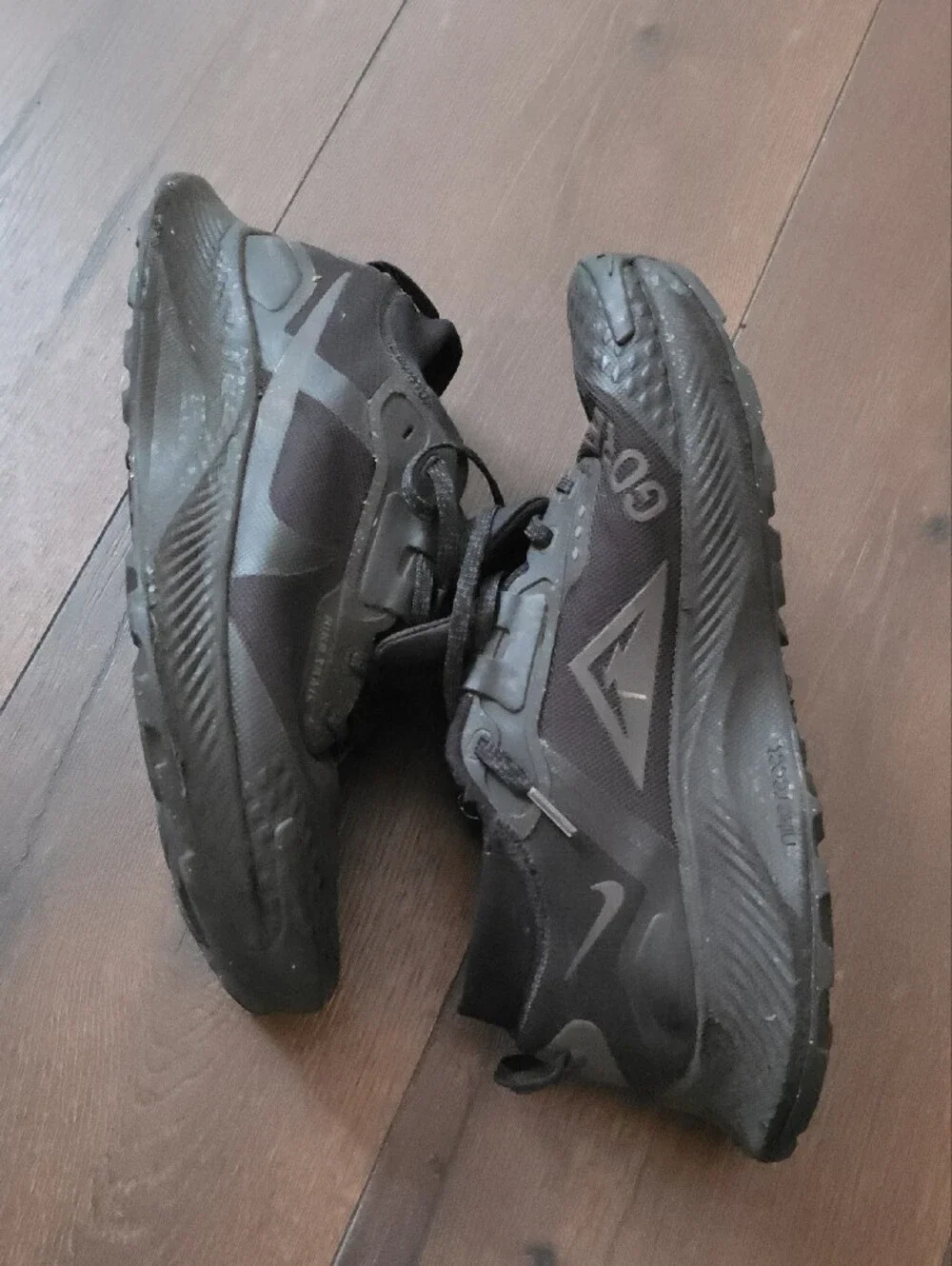Nike Pegasus Trail 3 GORE-TEX running shoes